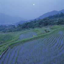 Reflection of moon in rice terrace, Nagano, Japan