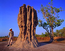 Man standing beside termite mound, Australia