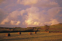 Field with hay bales and rainbow, Hokkaido, Japan