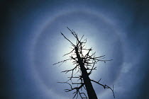 Solar halo round the sun, Japan