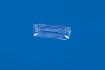 Snow crystal (photomicroscopy x 40)