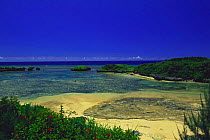 Seashore where Foraminifera {Baculogypsina sphaerulata} make up a large proportion of the sand, Iriomote, Okinawa, Japan