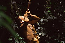 Matis hunter in forest blowing blow pipe, Javari valley, Amazonia Brazil. NB facial decorations mimic jaguar
