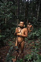 Matis hunters in rainforest, facial decorations to resemble jaguar, Amazonia, Brazil