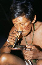 A Piaroa Indian sniffing Yeppo, Venezuela