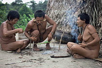 Matis Indian hunters tip their hunting arrows with poison from captured Poison arrow frog (Dendrobates sp) Amazonia, Brazil.  Facial decorations are thought to mimic jaguars.