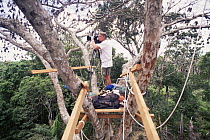 Nick Gordon filming from tree top canopy platform, Amazonia, Brazil