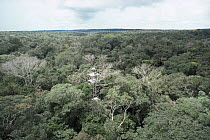Aerial view of Nick Gordon filming from top of tower in rainforest canopy, Amazonia, Brazil