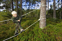 Boy in a Norwegian naturbarnehage (nature nursery) rope walking, Trondheim, Norway 2006