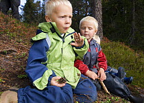 Boy in a Norwegian naturbarnehage (nature nursery) with dirty hands and a pine cone, Trondheim, Norway 2006