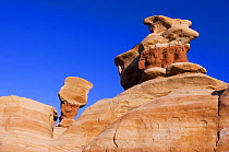 Sandstone features in the Devil's Garden, ARches NP, Utah, USA, 2006
