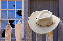 Stetson hat hanging on old gate, Utah, USA 2006