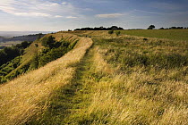 Iron age hill fort at Uley Bury on the Cotswold escarpment, Gloucestershire, England