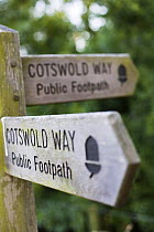Cotswold Way walking trail sign posts, Haresfield Beacon, Gloucestershire, England