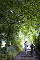 People walking along country lane on the Cotswold Way National Trail between Leckhampton Hill and Crickley Hill, Gloucestershire, England
