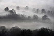 Countryside in mist on the Cotswold Way, Coaley Peak, Gloucestershire, England
