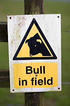 Bull in field warning sign on a public footpath in the countryside, Gloucestershire, England