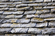 Frost on stone roof tiles, Gloucestershire, England