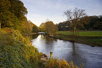 Man fly fishing on the River Usk at the Gliffaes Country House Hotel, Brecon Beacons, Wales