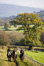 People on a horse riding trek in Brecon Beacons National Park, Wales