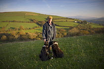 Welsh hill farmer and his sheepdogs, Brecon Beacons National Park, Powys, Wales