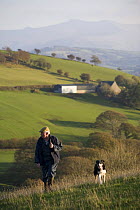 Welsh hill farmer and his sheepdog, Brecon Beacons National Park, Powys, Wales, 2006