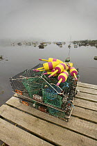 Lobster traps and buoys piled up on wooden pier in fog, Acadia National Park, Atlantic Ocean, Maine, USA