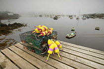 Lobster traps and buoys piled up on wooden pier in fog, Acadia National Park, Atlantic Ocean, Maine, USA