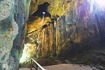Main chamber, Gomantong Cave, Sabah, Borneo