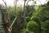View acroos the forest from the canopy walkway, Danum Valley, Sabah, Borneo