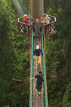 Tourists on the canopy walkway, Danum Valley, Sabah, Borneo