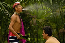 Colorado or Tsáchila Indian Shaman performs a cleansing ceremony by spraying a concoction of alcohol and medicinal herbs over his 'patient'.  Santo Domingo de los Colorados. Coastal ECUADOR. South Am...