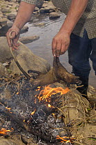 Possum being roasted for food, Mindo Cloud Forest, Ecuador, 2005