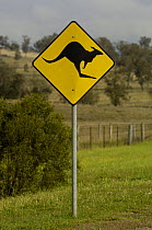 'Beware of Kangaroos' crossing road sign, Australia