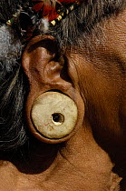 Close up of balsa ear plugs of Huaorani indian man, in Quito for a protest march against Petrobras, a Brazilian oil company who wanted to build another access road into Yasuni National Park, Ecuador,...