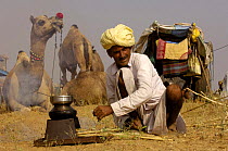 Man cooking at the Pushkar camel and livestock fair, which takes place in the Hindu month of Kartik (October / November) ten days after Diwali (Festival of Lights). Pushkar, Rajasthan, India, October...