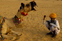 Rajasthani pastoralist with camel at the Pushkar camel and livestock fair, Pushkar, Rajasthan, India, October 2006
