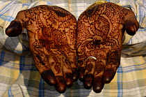 Rajasthani bridegroom's hands painted with henna, Pushkar, Rajasthan, India, 2006