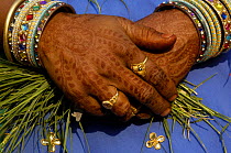 Rajasthani wedding guest's hands painted with henna, Pushkar, Rajasthan, India, 2006