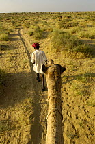 Man leading his Dromedary camel (Camelus dromedaries) in the Thar desert. Rajasthan, India, 2006