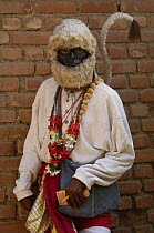 Hanuman monkey God 'Holy man', near Gir Forest National Park, Gujarat, India, 2006
