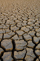 Dry cracked mud on the salt flats of the Little Rann of Kutch, Gujarat, India, 2006
