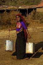 Rabari woman of the Sorathi subgroup found in and around the Gir Forest National Park, Gujarat, India. 2006, carrying water drawn from the village well.