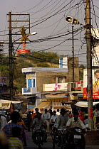 Rhesus Macaque (Macaca mulatta) climbing along the telegraph wires above a busy street, Bharatpur, Rajasthan, India 2006