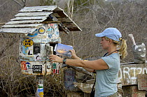 Woman posting cards in Post Office Barrel. Floreana Island, Galapagos 2006