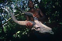 Game warden with skull of poached Bongo antelope {Tragelaphus euryceros} Mboko Park Station, Odzala NP, Rep of Congo