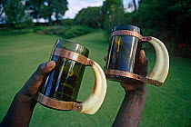Beer glasses with handles made from the tusks of Warthog, Kenya