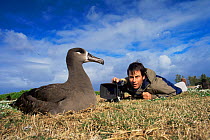 Michael Pitts filming nesting Black footed Albatross {Diomedea nigripes} Midway Island, Pacific Ocean island, 1996