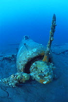 Wreck of the japanese WWII plane, West New Britain, Pacific ocean islands