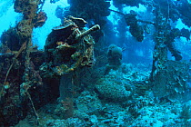 Telegraph cables on the shipwreck of the bridge of the Japanese WWII tanker, 'Shinkoko Maru', Chuuk / Truk lagoon, Chuuk Islands, Pacific ocean